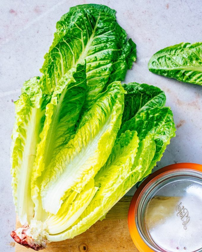 Quick Guide to Romaine Lettuce 038 Recipes