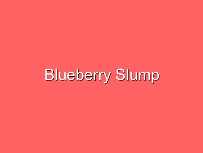blueberry slump 35730