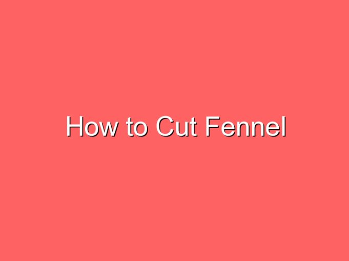 how to cut fennel 71886